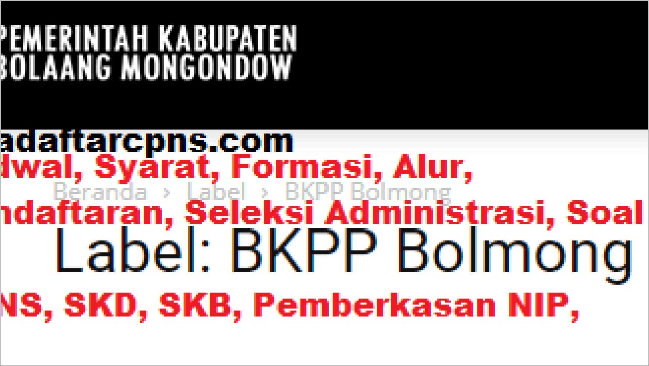 Contoh Surat Lamaran Cpns Bolsel