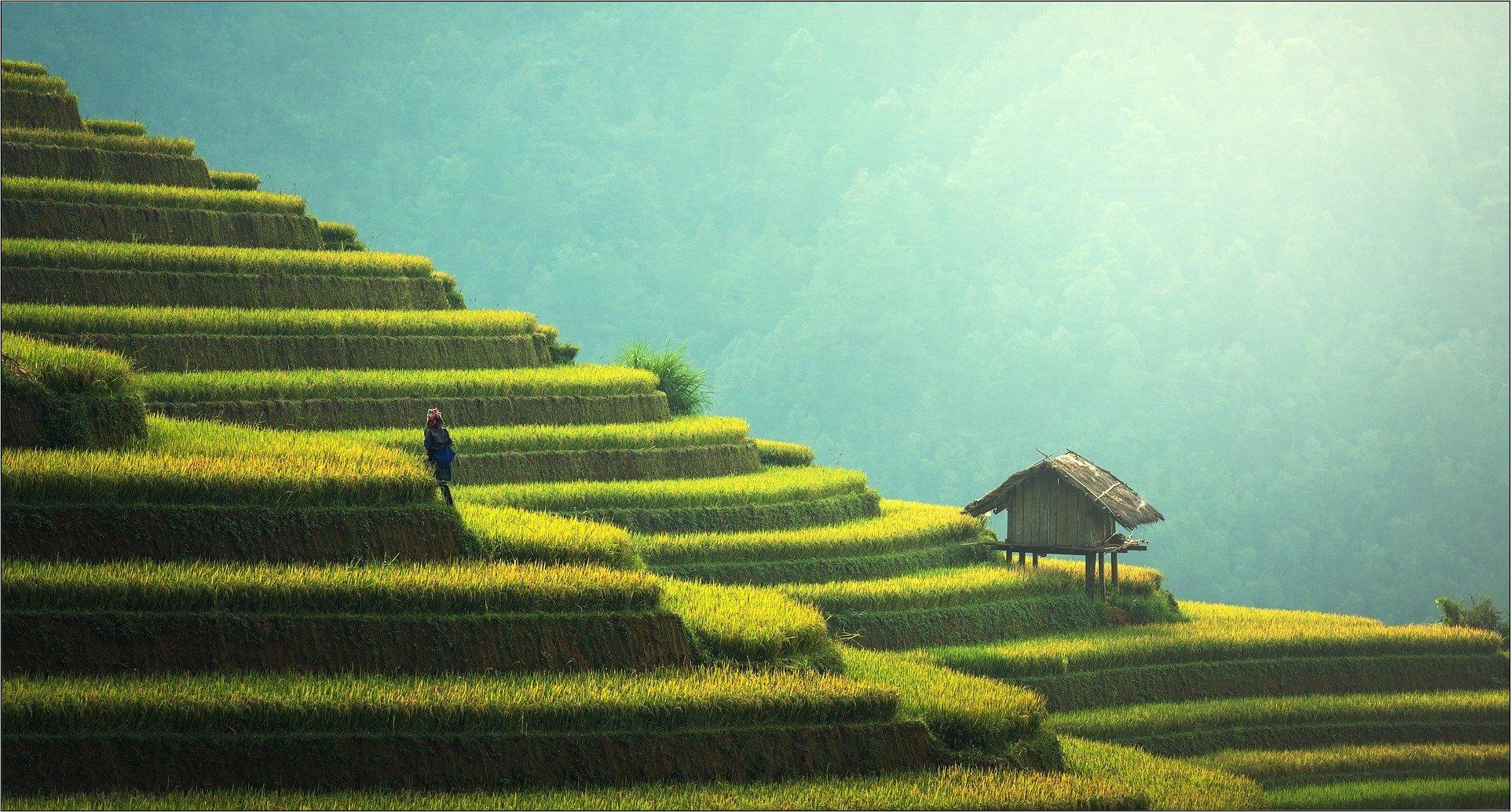 Contoh Surat Lamaran Kerja Pt Cibadak Agri