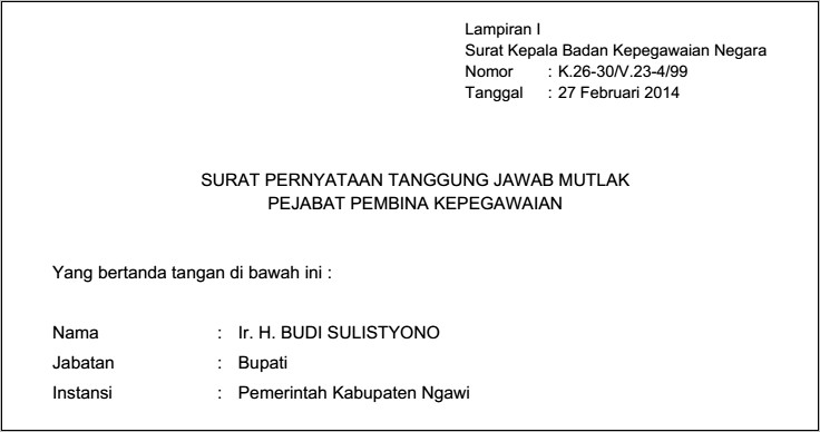 Contoh Surat Pernyataan Cpns 2019 Bkn Pusat