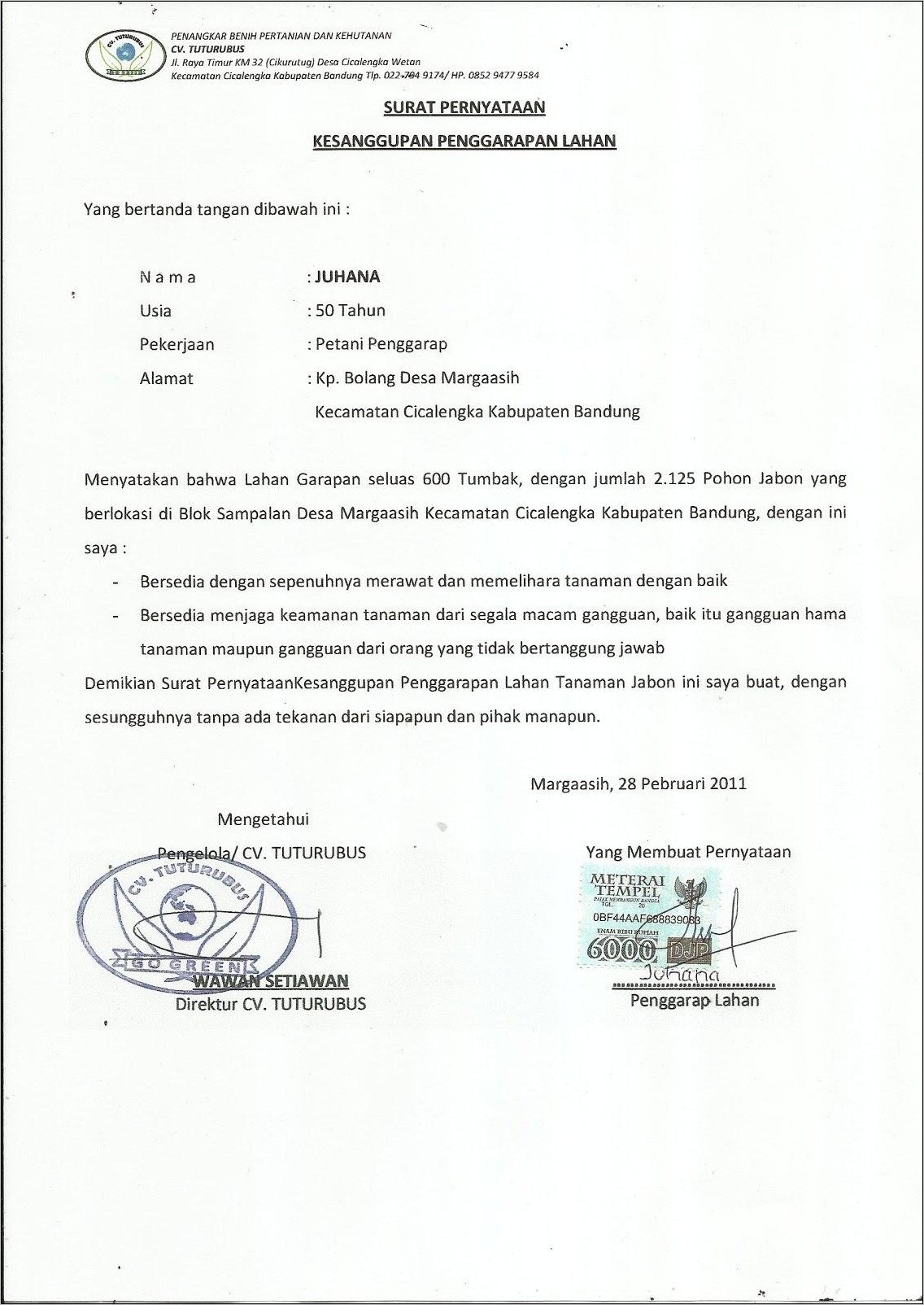 Contoh Surat Pernyataan Gainmax