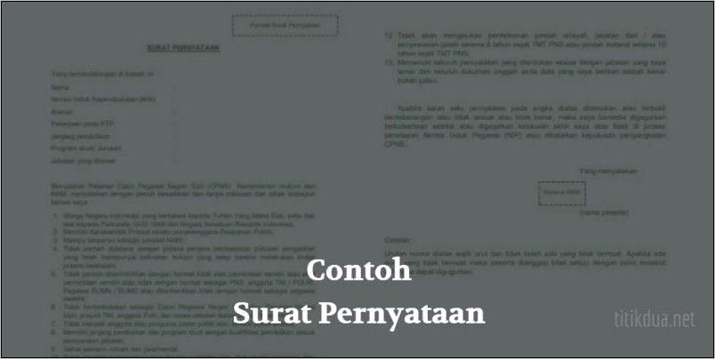 Contoh Surat Pernyataan Ke Dinas