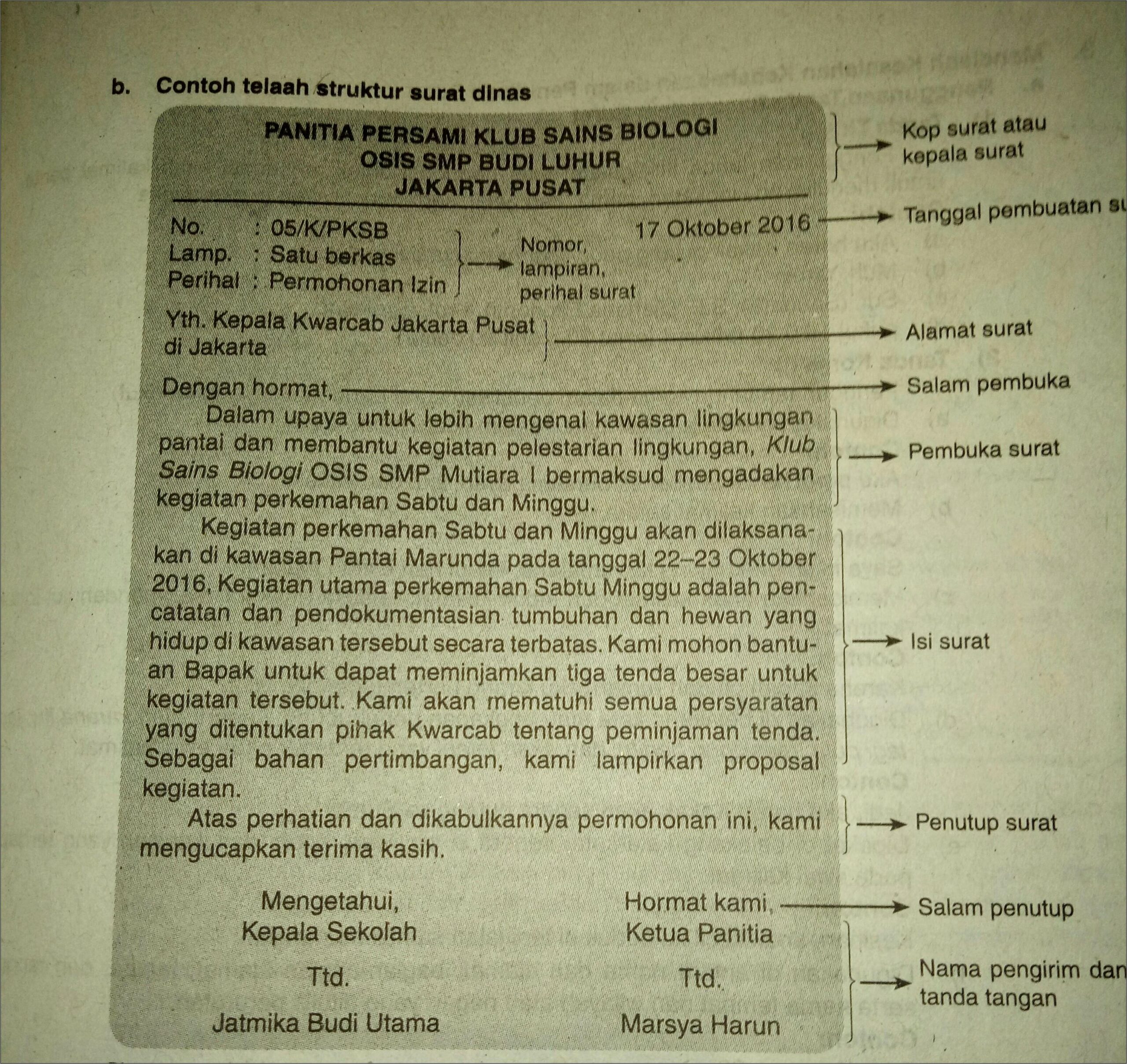 Contoh Surat Dinas Dan Strukturnya