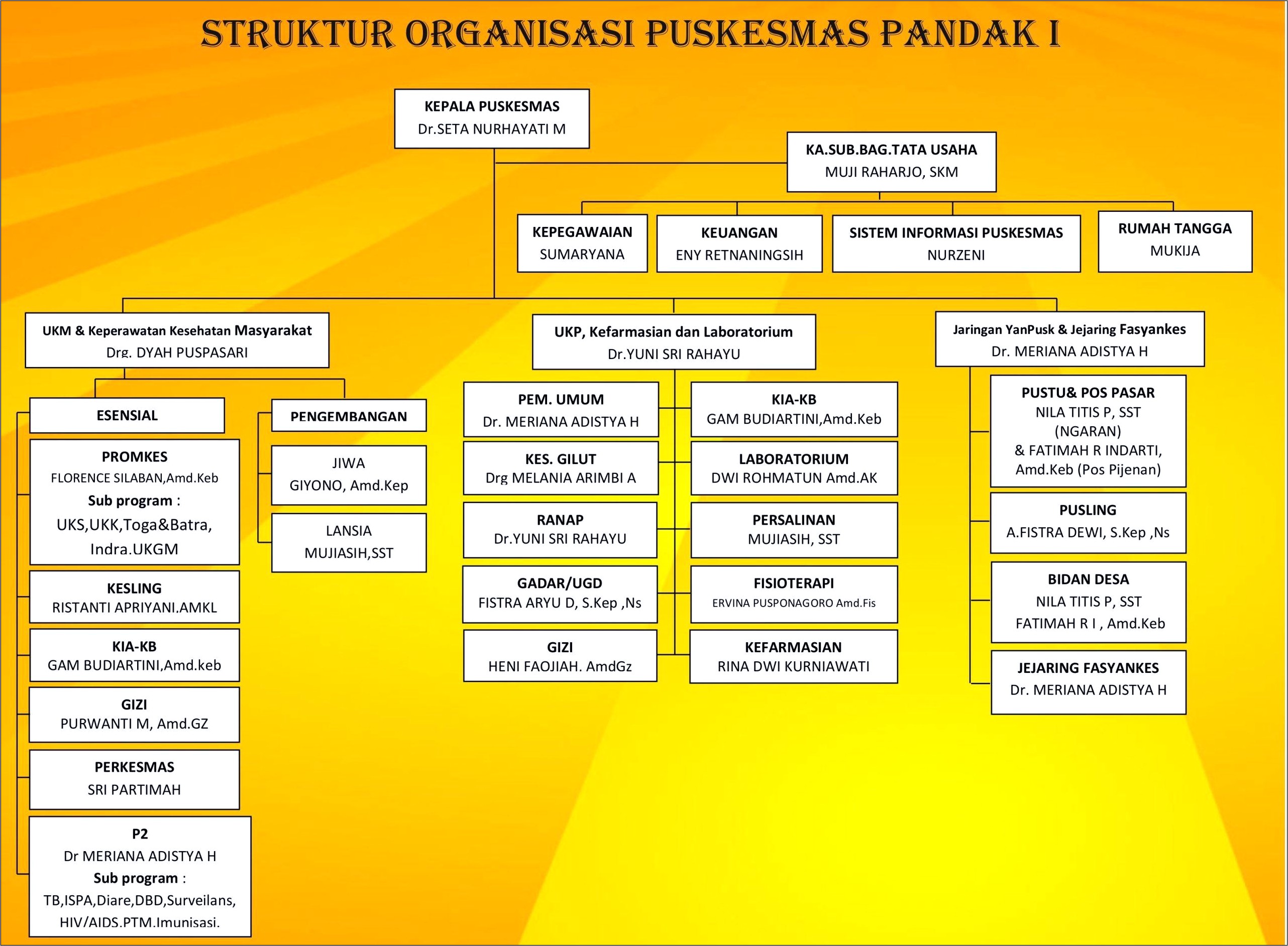 Contoh Surat Keputusan Kepala Dinas Tentang Struktur Organisasi Puskesmas