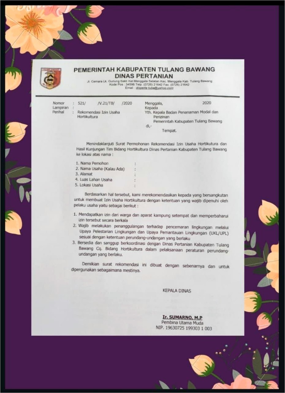 Contoh Surat Pemberian Izin Usaha