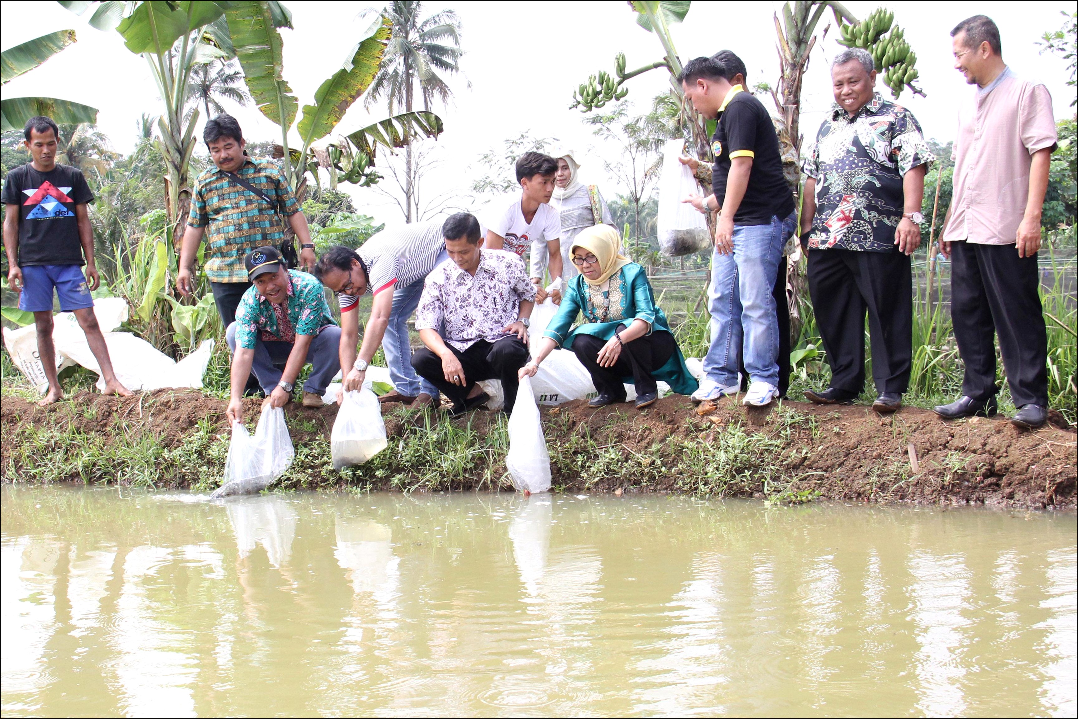 Contoh Surat Permohonan Permintaan Bibit Ikan