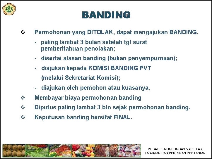 Contoh Surat Permohonan Pvt