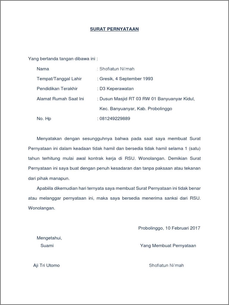 Contoh Surat Pernyataan Tanggung Jawab Mutlak Tkhi 2017