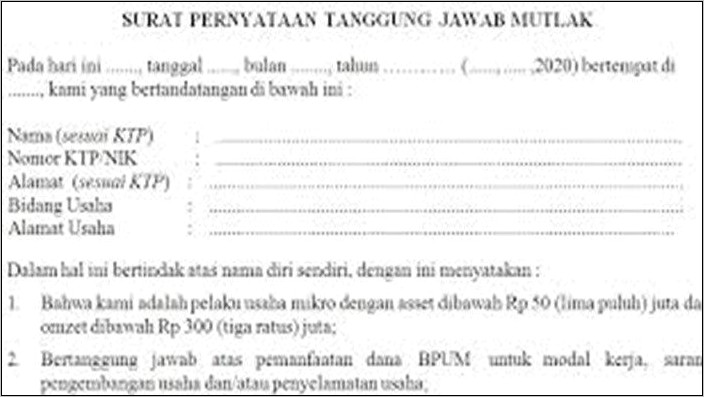 Contoh Surat Pertanggung Jawaban Mutlak Dinas